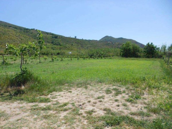 terreno agricolo in vendita a Mondragone