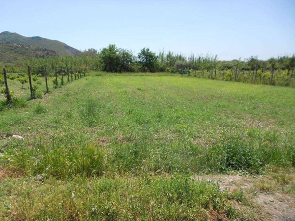 terreno agricolo in vendita a Mondragone