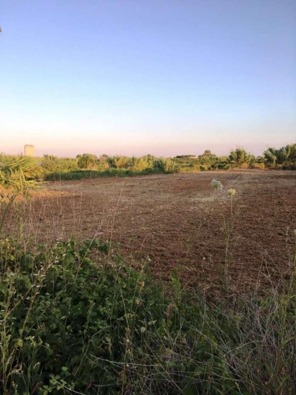 terreno agricolo in vendita a Mondragone