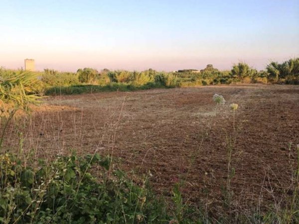 terreno agricolo in vendita a Mondragone