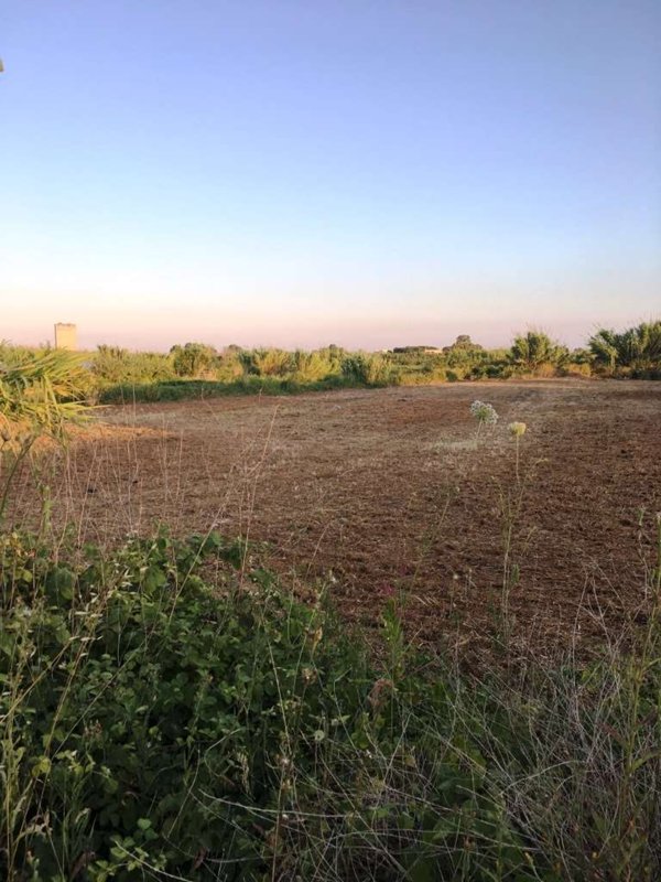 terreno agricolo in vendita a Mondragone