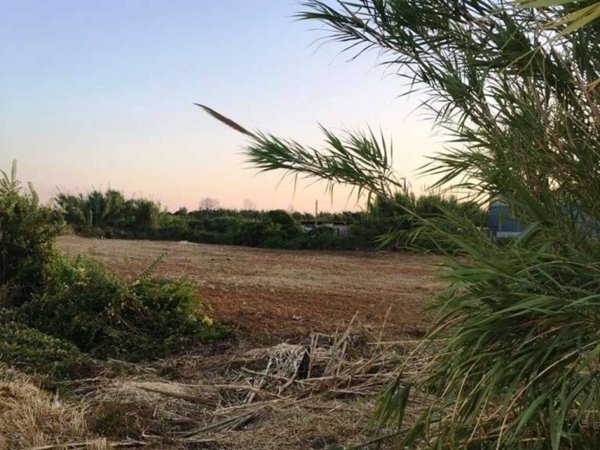 terreno agricolo in vendita a Mondragone