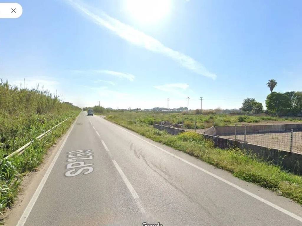 terreno agricolo in vendita a Mondragone