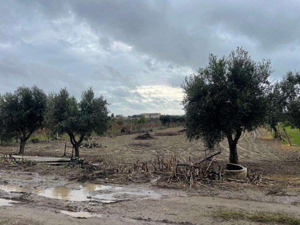 terreno agricolo in vendita a Mondragone