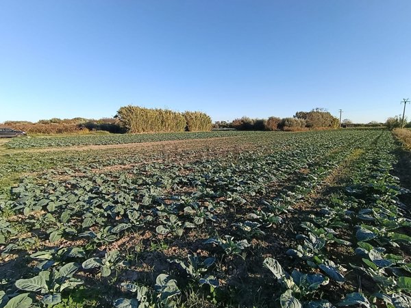 terreno edificabile in vendita a Mondragone