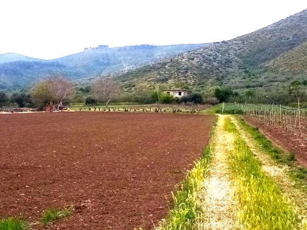 terreno agricolo in vendita a Mondragone
