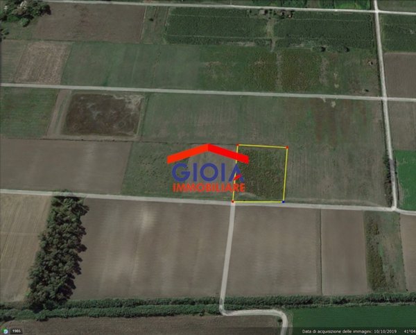 terreno agricolo in vendita a Mondragone