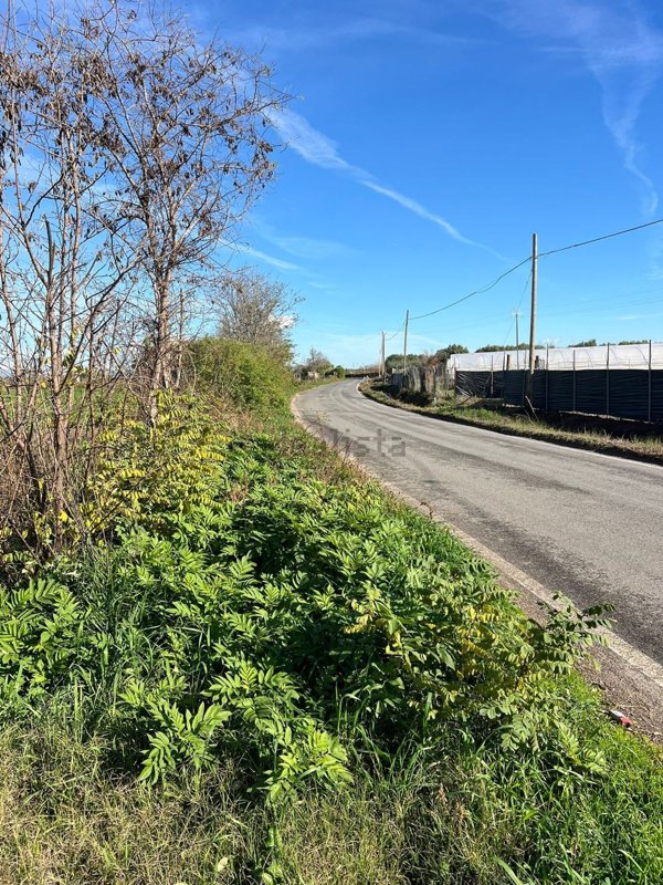 terreno agricolo in vendita a Mondragone