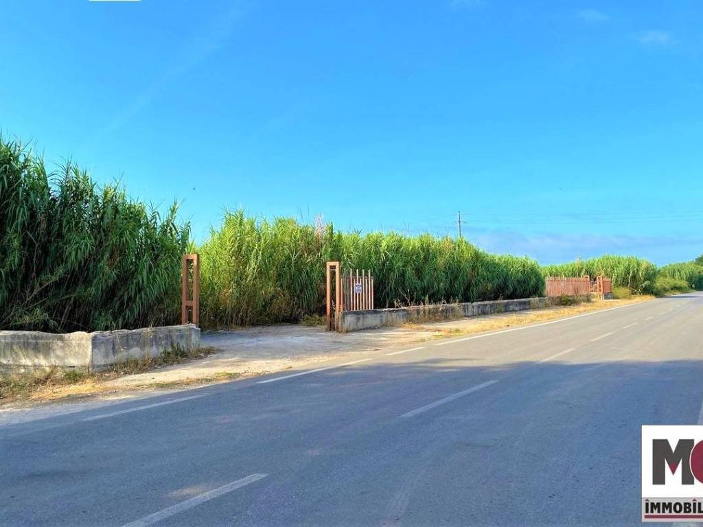 terreno agricolo in vendita a Mondragone