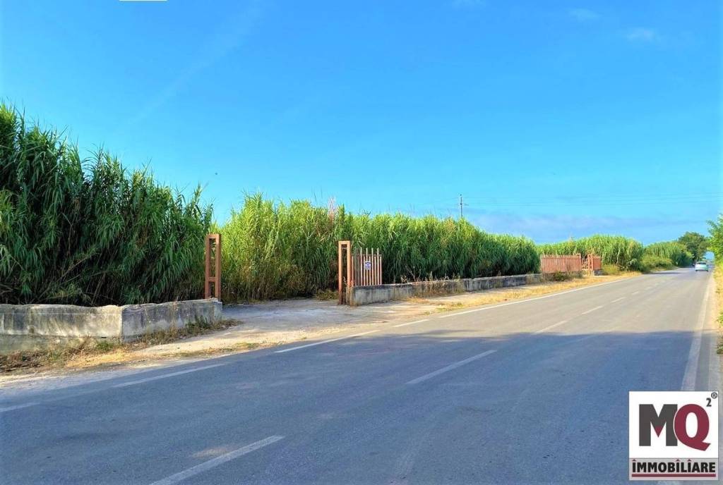 terreno agricolo in vendita a Mondragone