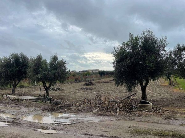 terreno agricolo in vendita a Mondragone