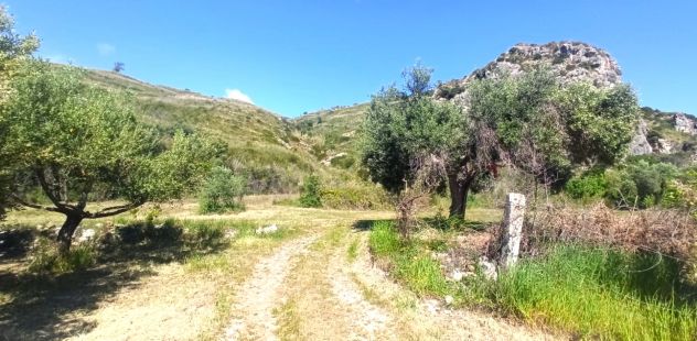 terreno agricolo in vendita a Mondragone