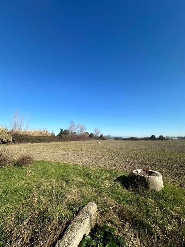 terreno agricolo in vendita a Mondragone in zona Pescopagano