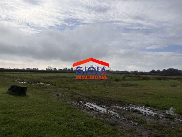 terreno agricolo in vendita a Mondragone