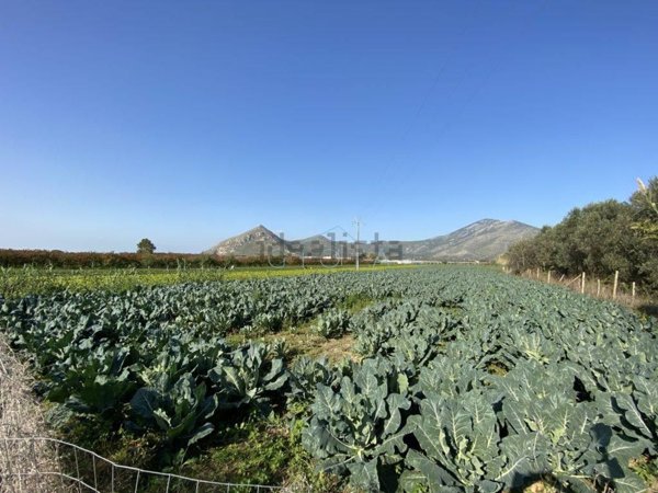 terreno agricolo in vendita a Mondragone
