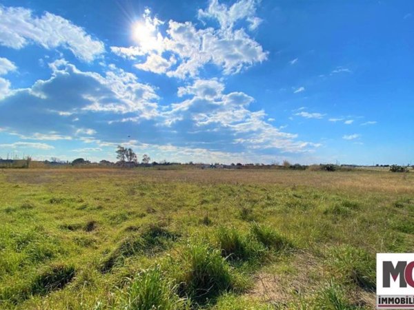terreno agricolo in vendita a Mondragone