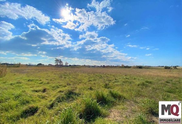 terreno agricolo in vendita a Mondragone
