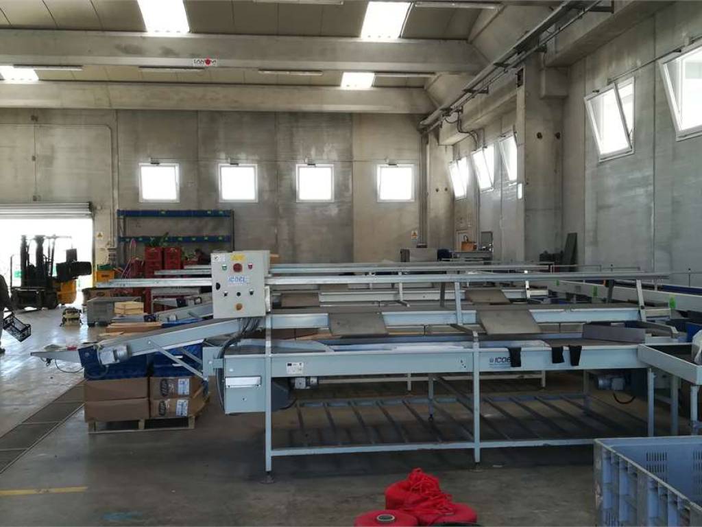 locale commerciale in vendita a Mondragone