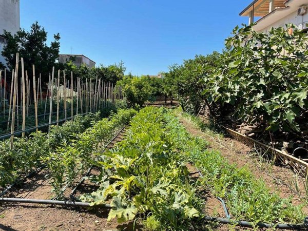 terreno edificabile in vendita a Mondragone