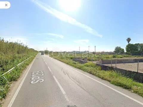 terreno agricolo in vendita a Mondragone