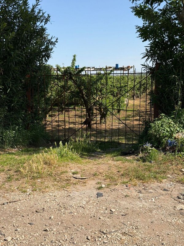 terreno agricolo in vendita a Mondragone