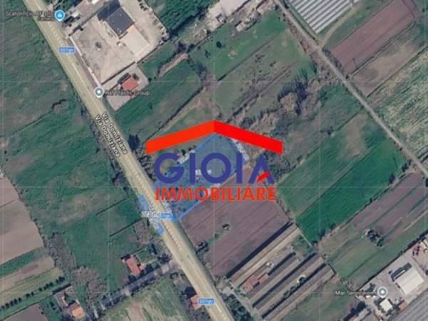 terreno agricolo in vendita a Mondragone
