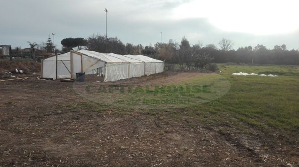 terreno agricolo in vendita a Mondragone in zona Levagnole