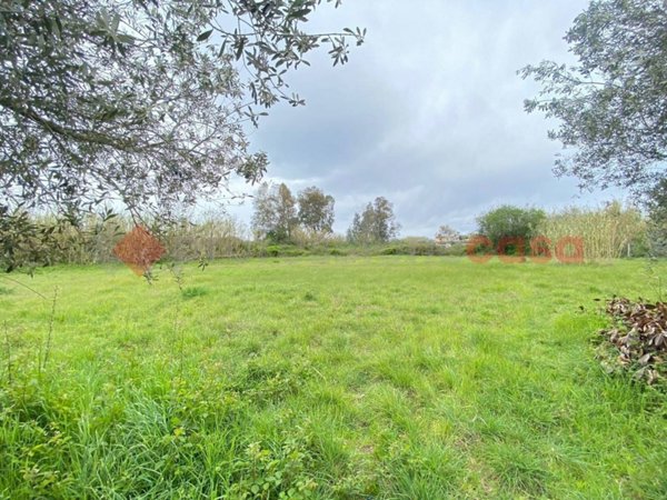 terreno agricolo in vendita a Mondragone