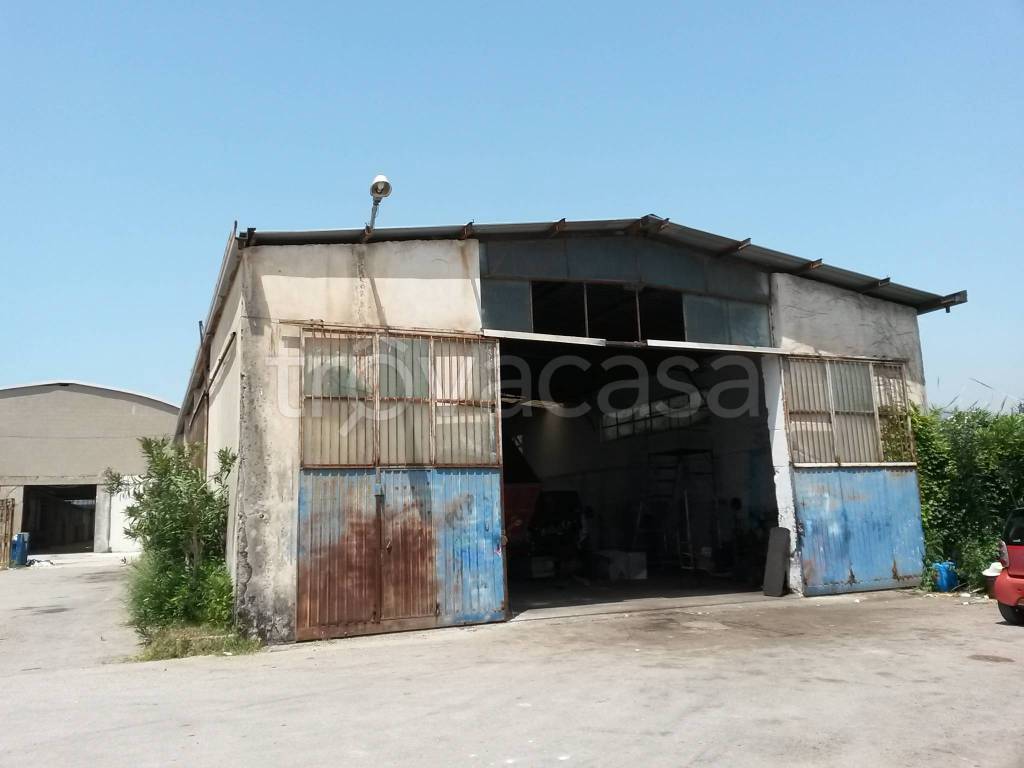 locale commerciale in vendita a Mondragone in zona Pescopagano
