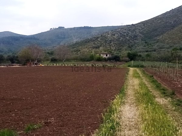 pentavano in vendita a Mondragone