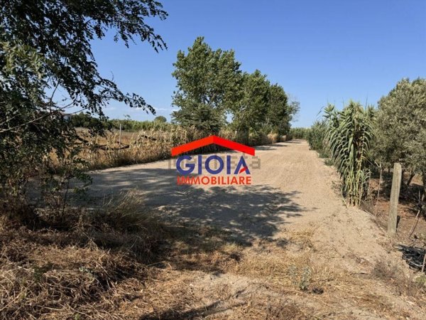 terreno agricolo in vendita a Mondragone