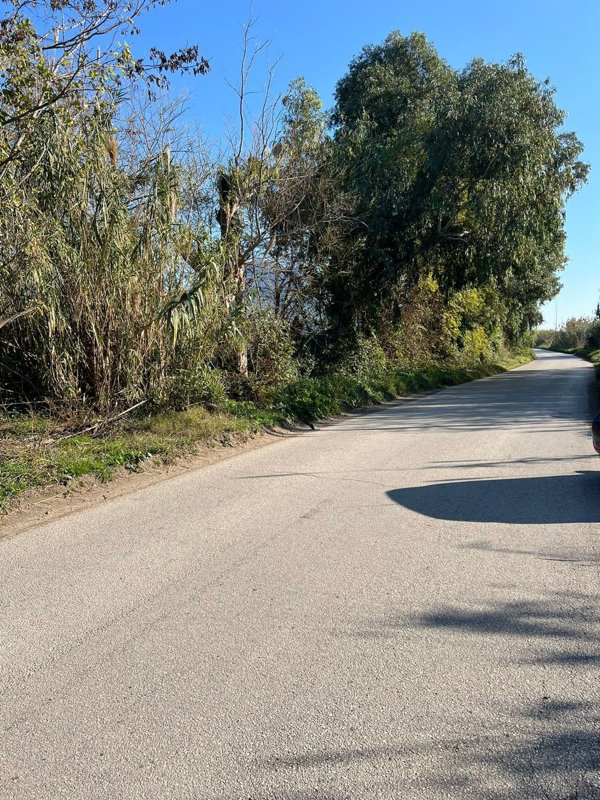 terreno agricolo in vendita a Mondragone