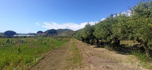 terreno agricolo in vendita a Mondragone in zona Levagnole
