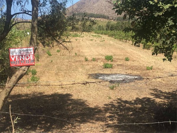 terreno agricolo in vendita a Mondragone in zona Levagnole