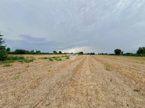 terreno agricolo in vendita ad Orta di Atella