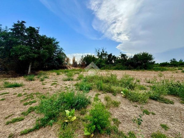 terreno agricolo in vendita ad Orta di Atella