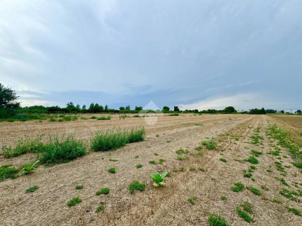 terreno agricolo in vendita ad Orta di Atella