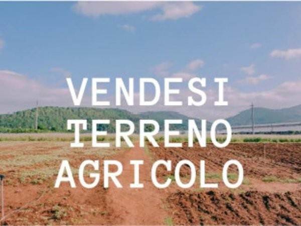 terreno agricolo in vendita ad Orta di Atella