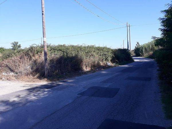 terreno agricolo in vendita a Parete