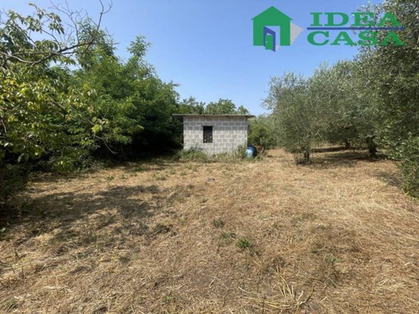terreno agricolo in vendita a Pastorano