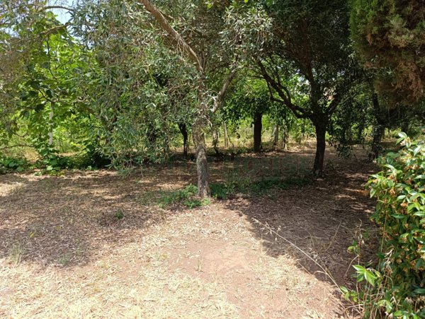 terreno edificabile in vendita a Pastorano