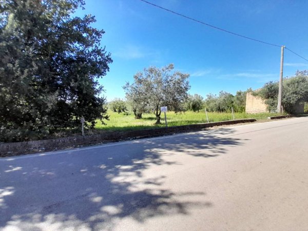 terreno agricolo in vendita a Pastorano