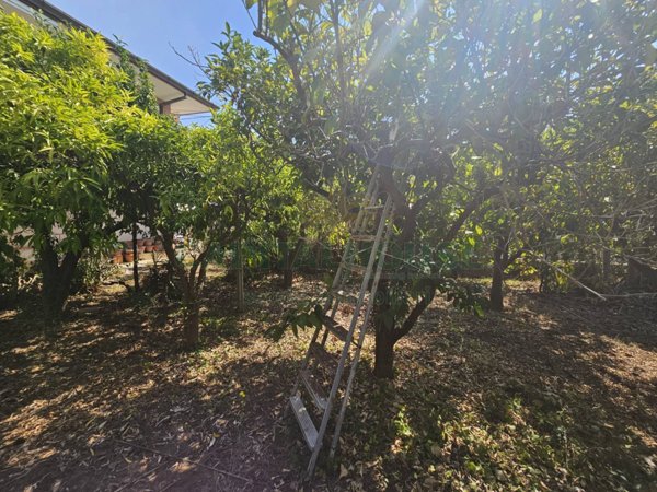 casa indipendente in vendita a Pastorano