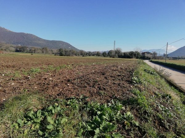 terreno agricolo in vendita a Piana di Monte Verna