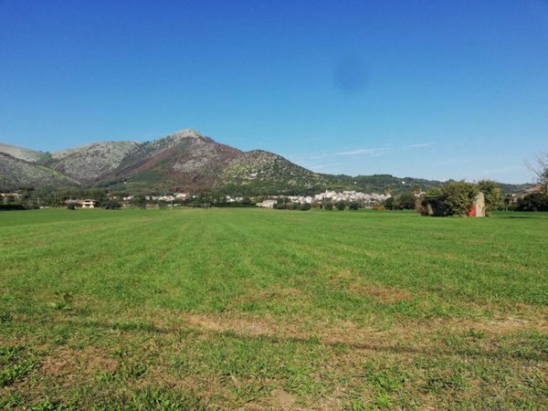 terreno agricolo in vendita a Piana di Monte Verna
