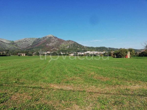 terreno agricolo in vendita a Piana di Monte Verna