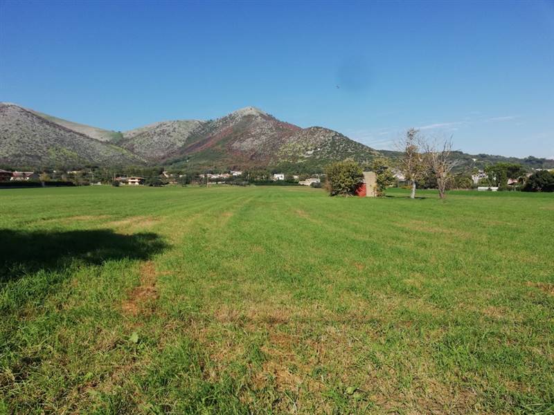 terreno agricolo in vendita a Piana di Monte Verna