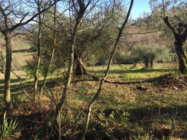 casa indipendente in vendita a Piana di Monte Verna