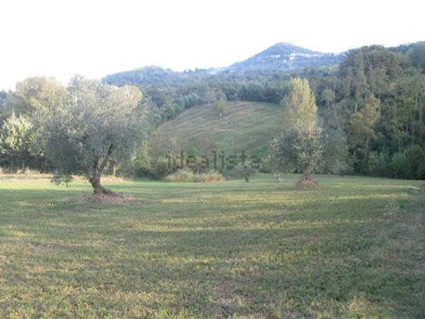 terreno agricolo in vendita a Piana di Monte Verna