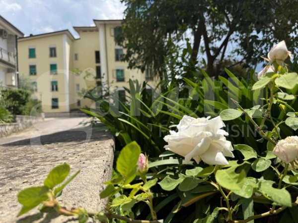 appartamento in vendita a Piedimonte Matese